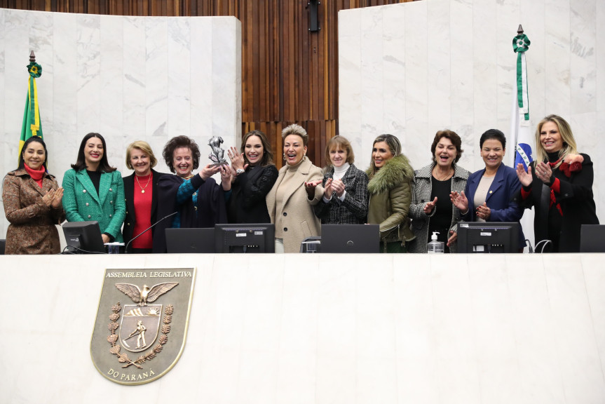 A finalidade do prêmio é homenagear mulheres que se destaquem em suas atividades e representem a força, garra e determinação feminina.