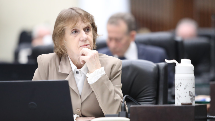Deputada Luciana Rafagnin (PT).