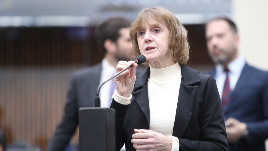 Deputada Luciana Rafagnin (PT).