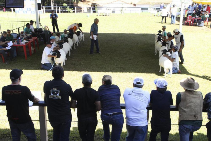 Londrina será a sede da Assembleia Legislativa durante a ExpoLondrina.