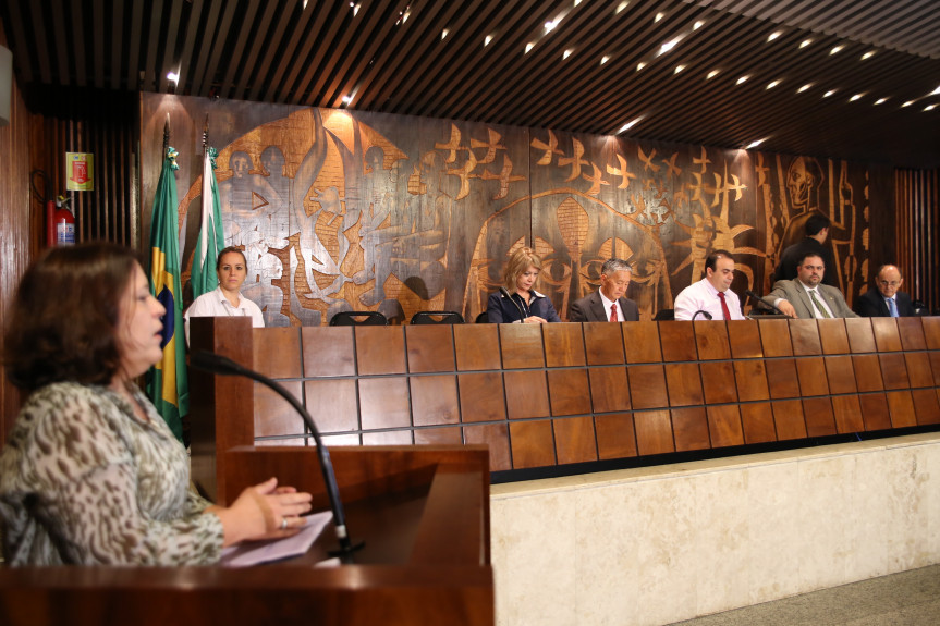 Diretora do Instituto Ibope de Pesquisa presta esclarecimento