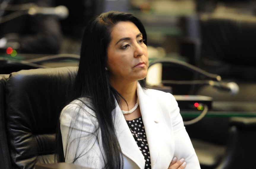 Deputada Mara Lima ( PSDB).