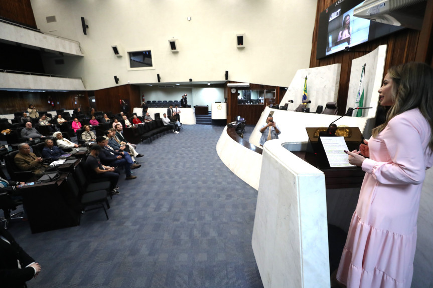 O workshop aconteceu no Plenário da Assembleia na tarde desta quinta-feira (27).