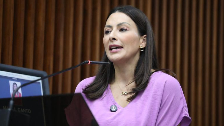 Deputada Mabel Canto (PP) durante pronunciamento em Plenário.