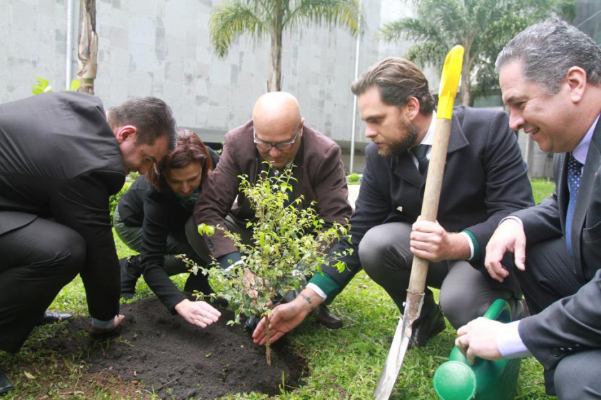 Muda de pitangueira é plantada na Alep. Ato simbólico é alusivo ao Dia da Árvore e representa cuidado com a natureza, em sintonia com o programa Paraná Mais Verde, do Governo do Estado.