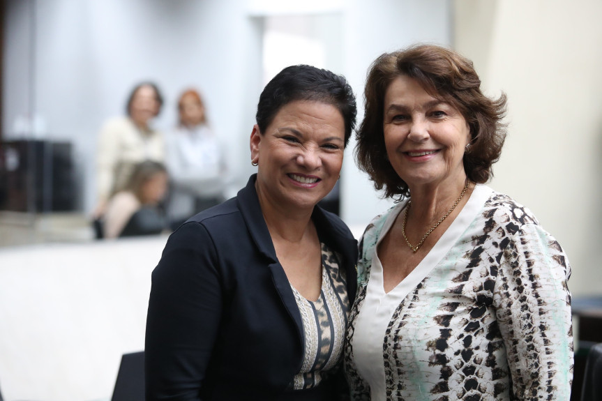 Proposta é assinada pelas deputadas Marli Paulino (Solidariedade) e Cristina Silvestri (PP).