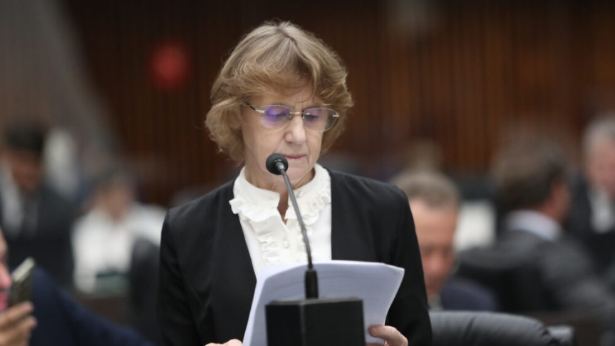 Deputada Luciana Rafagnin (PT).