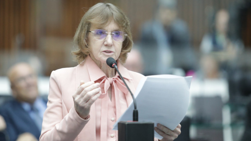 Deputada Luciana Rafagnin (PT).