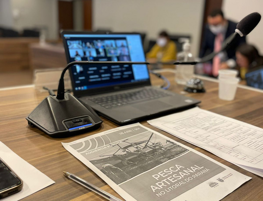 Audiência pública de forma remota debate a pesca artesanal no Paraná.