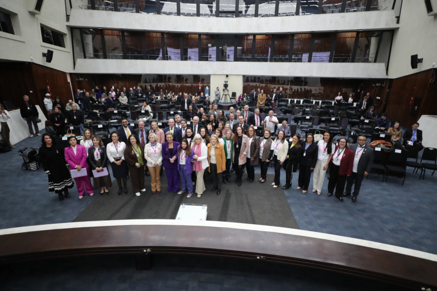 O Plenário da Casa recebeu o evento nesta quarta-feira (8).