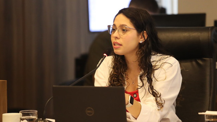 Deputada Ana Júlia (PT).