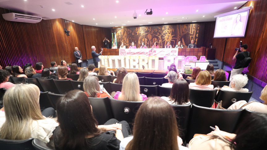 Audiência ocorreu no Plenarinho da Assembleia Legislativa na manhã desta segunda-feira (6).