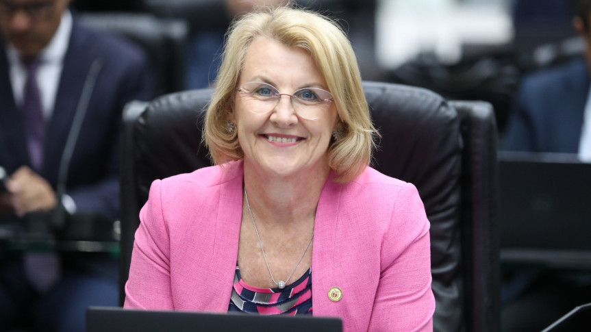 Deputada Secretária Márcia Huçulak (PSD).