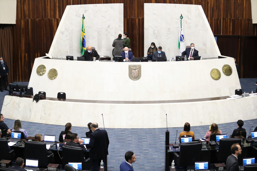 Deputados aprovam projeto que incentiva a produção de bambu no Paraná.