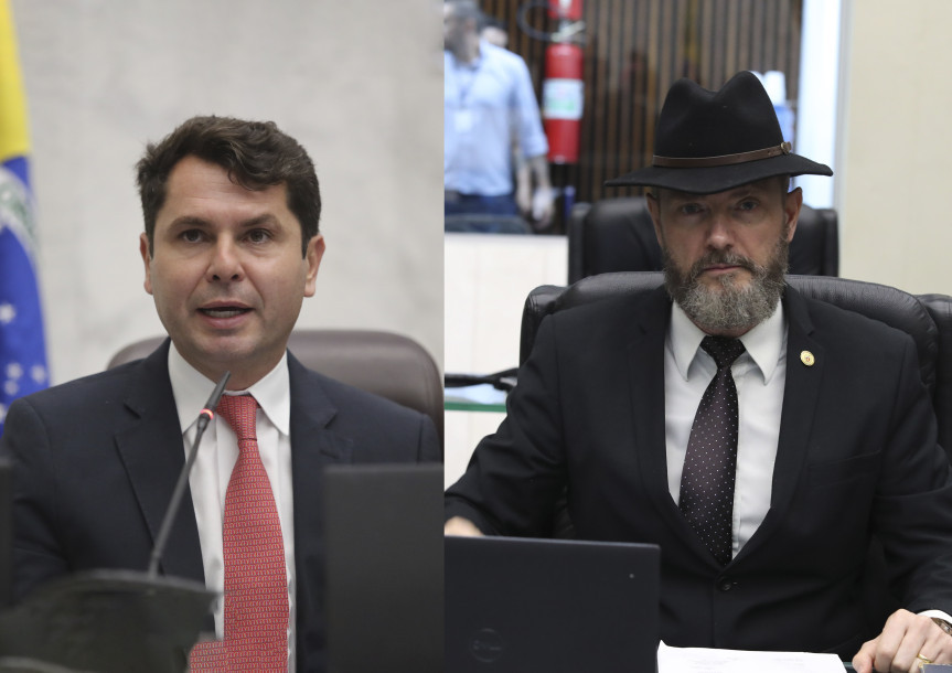 Proposta é assinada pelos deputados Alexandre Curi (PSD) e Tito Barichello (União).