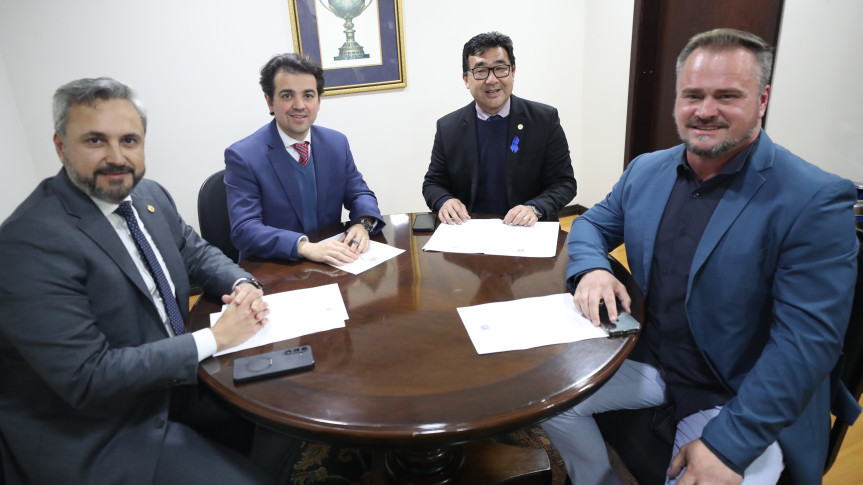 Comissão reuniu-se nesta terça-feira (12) após a sessão plenária.