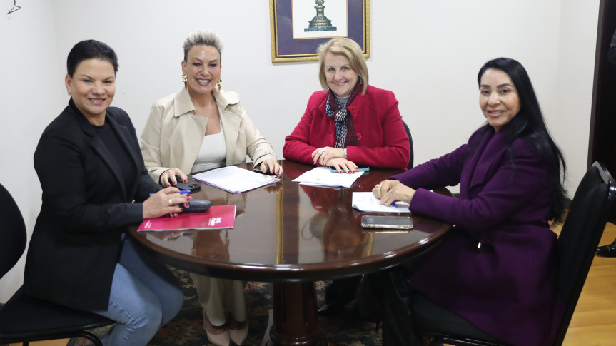 Comissão reuniu-se após o término da sessão plenária desta quarta-feira (13).