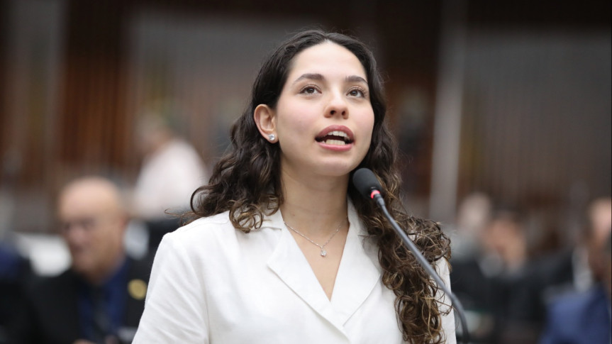 Deputada Ana Júlia (PT).