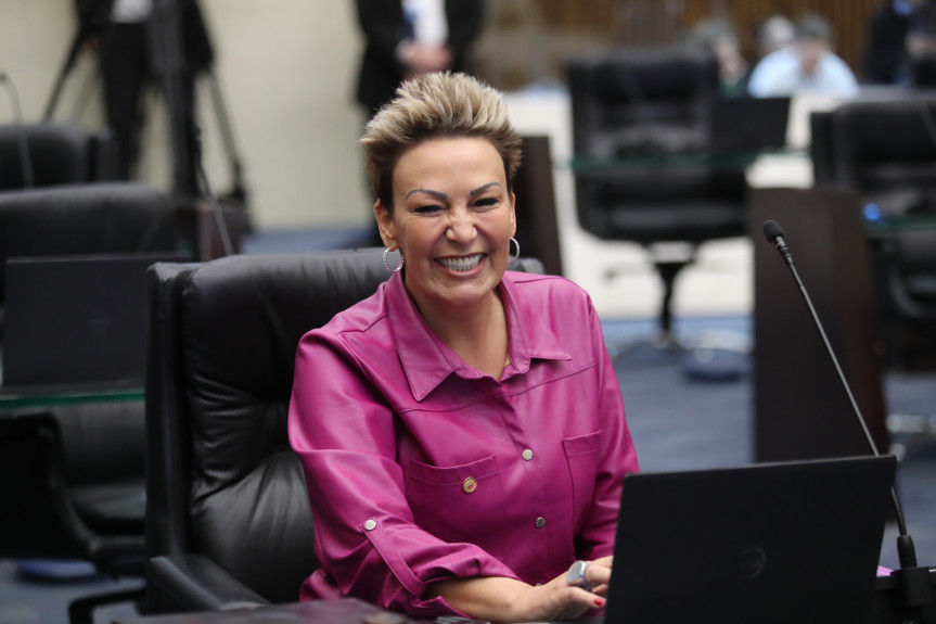 A deputada Cloara Pinheiro (PSD) é procuradora especial da Mulher na Assembleia Legislativa.