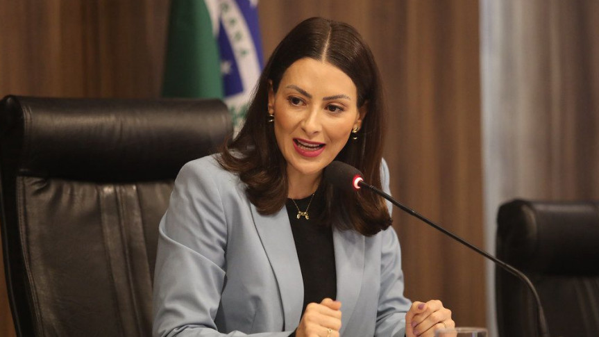 Deputada Mabel Canto (PP).