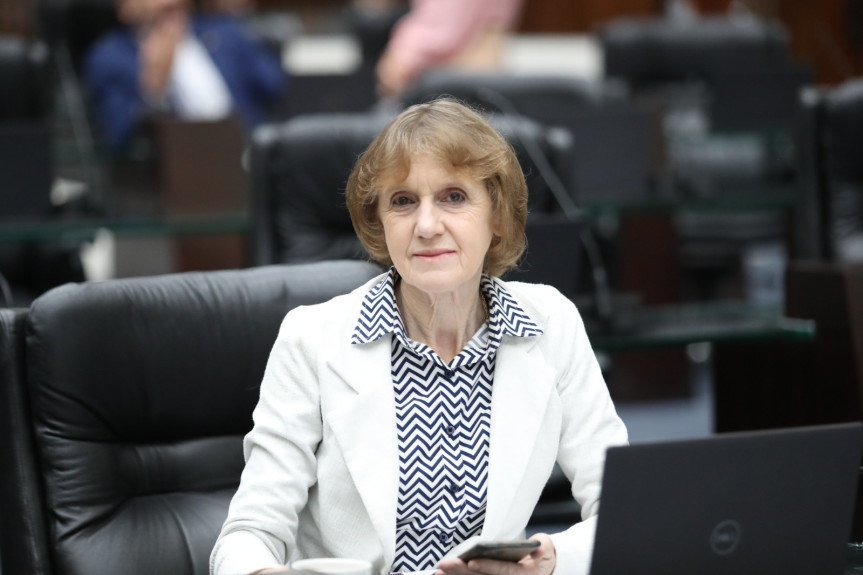 Deputada Luciana Rafagnin (PT).