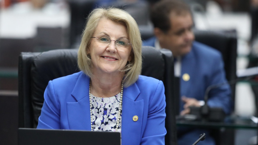 Deputada Secretária Márcia Huçulak (PSD).