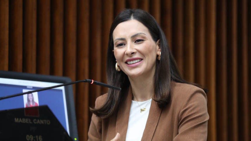Deputada Mabel Canto (PP).