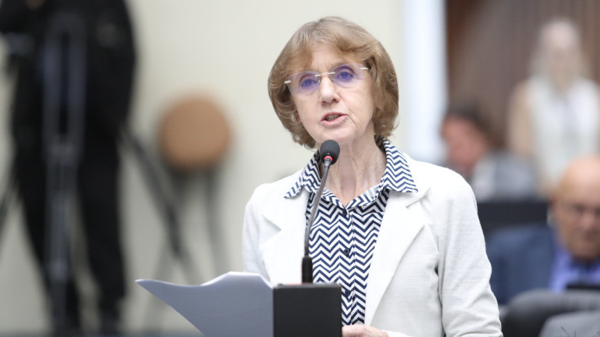 Deputada Luciana Rafagnin (PT).
