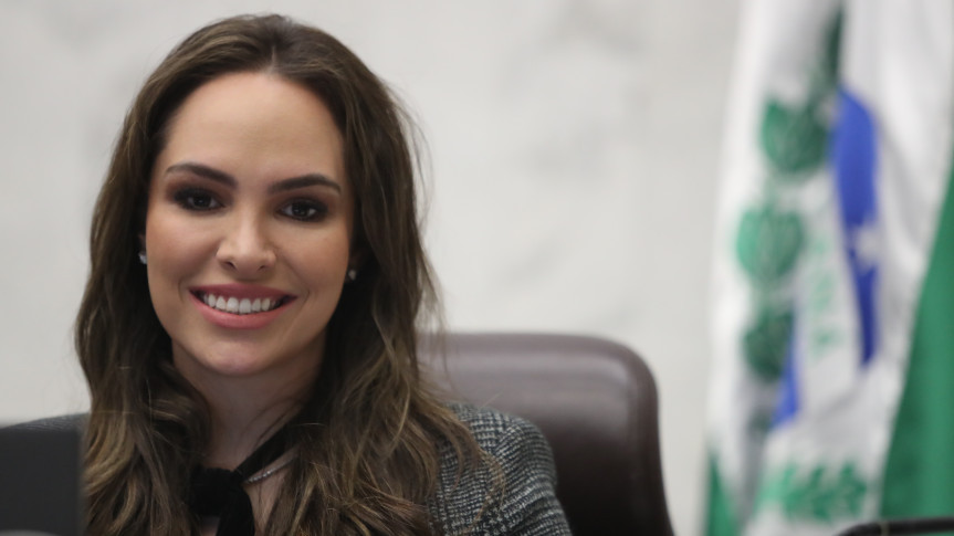 A deputada estadual Maria Victoria (PP) protocolou nesta semana o projeto de lei 271/2024 que institui o Mercado Regulado de Créditos de Carbono no Estado do Paraná.