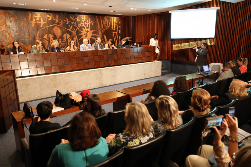 Audiência pública debateu a arquitetura e o desenvolvimento das cidades como meio de inclusão das mulheres.
