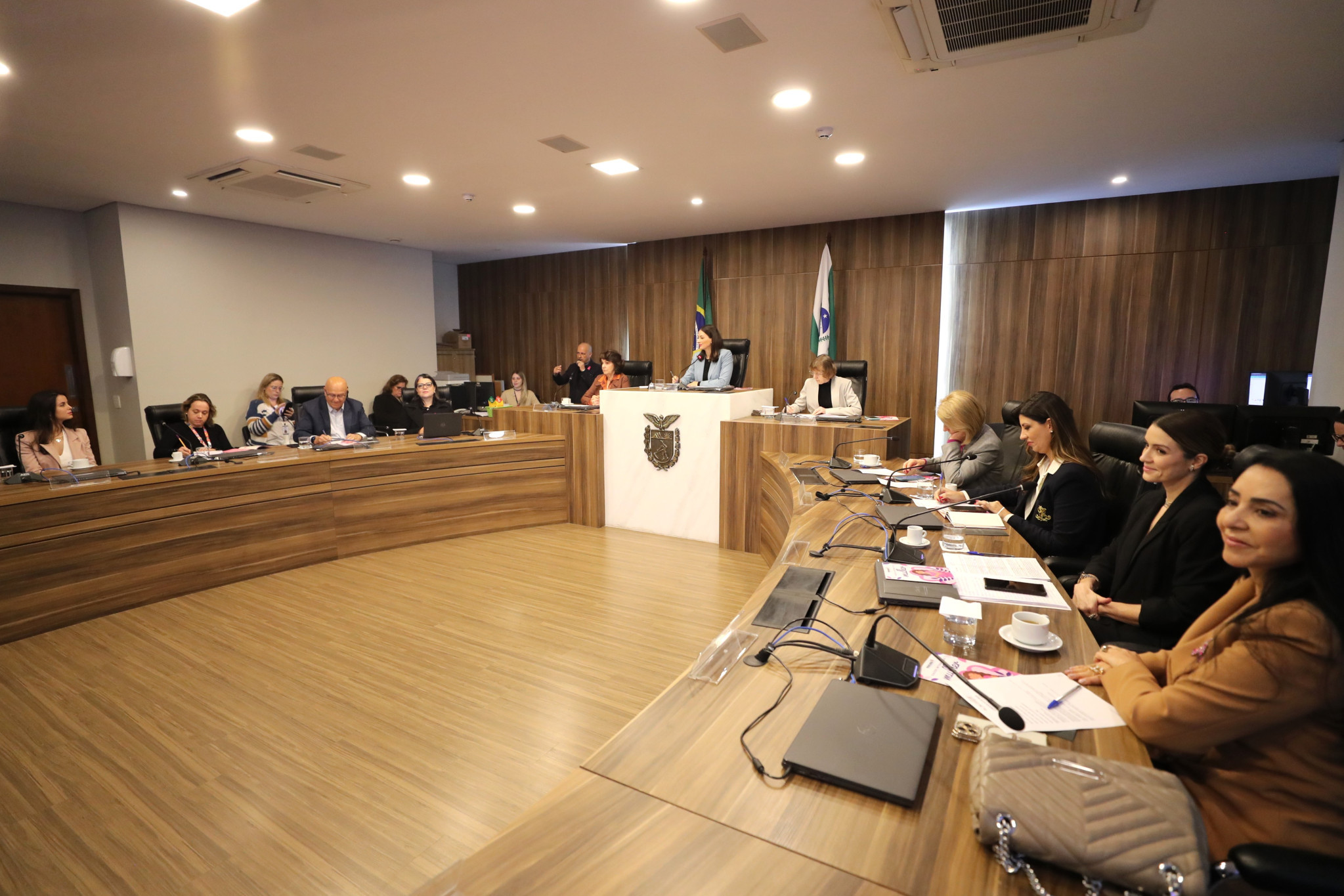 Desafios vividos pela mulher no climatério são abordados em audiência na Assembleia Legislativa do Paraná