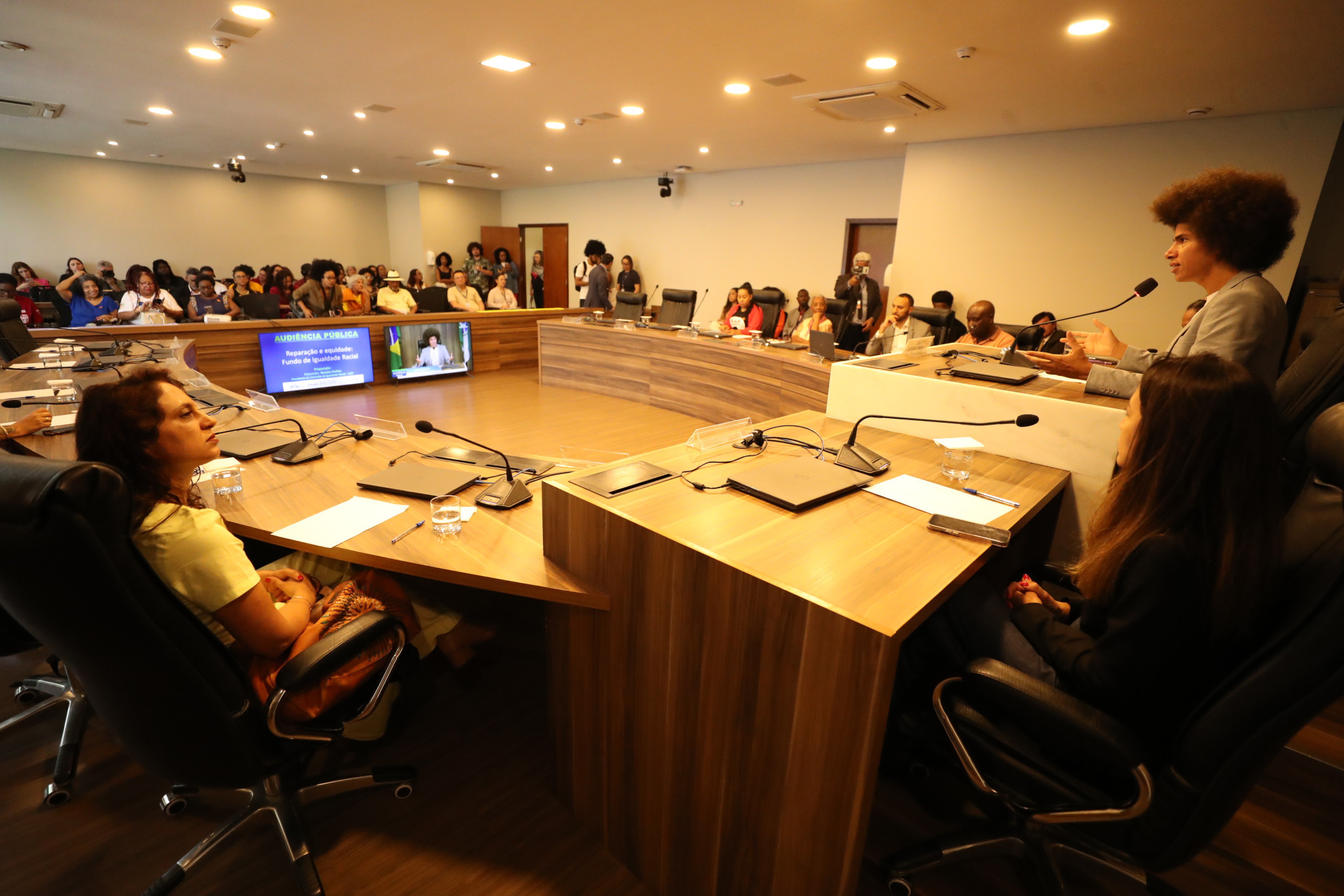 Audiência pública debate PEC da Reparação e políticas de fomento à igualdade racial no Paraná