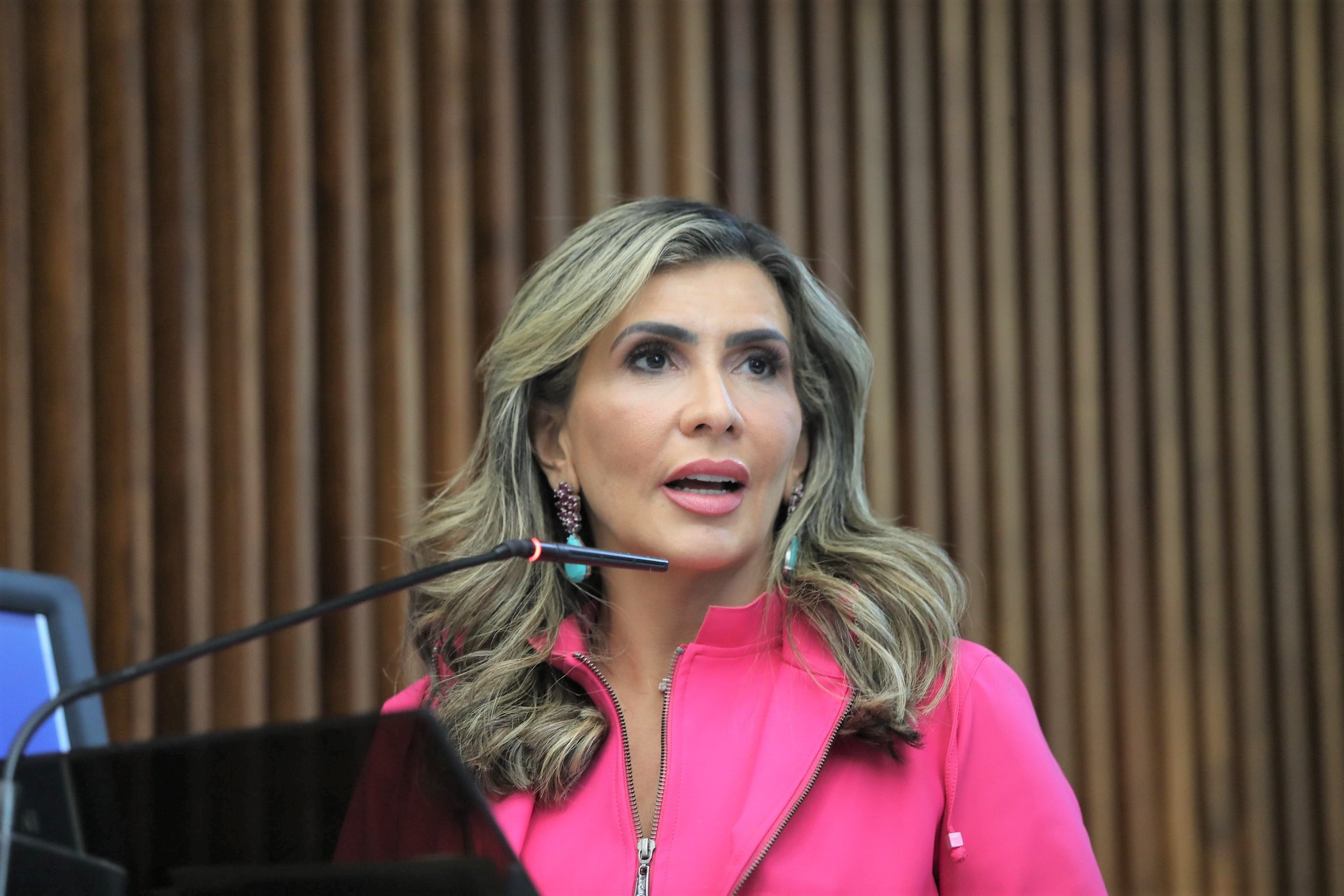 Audiência Pública debate o enfrentamento e o combate ao feminicídio no Paraná