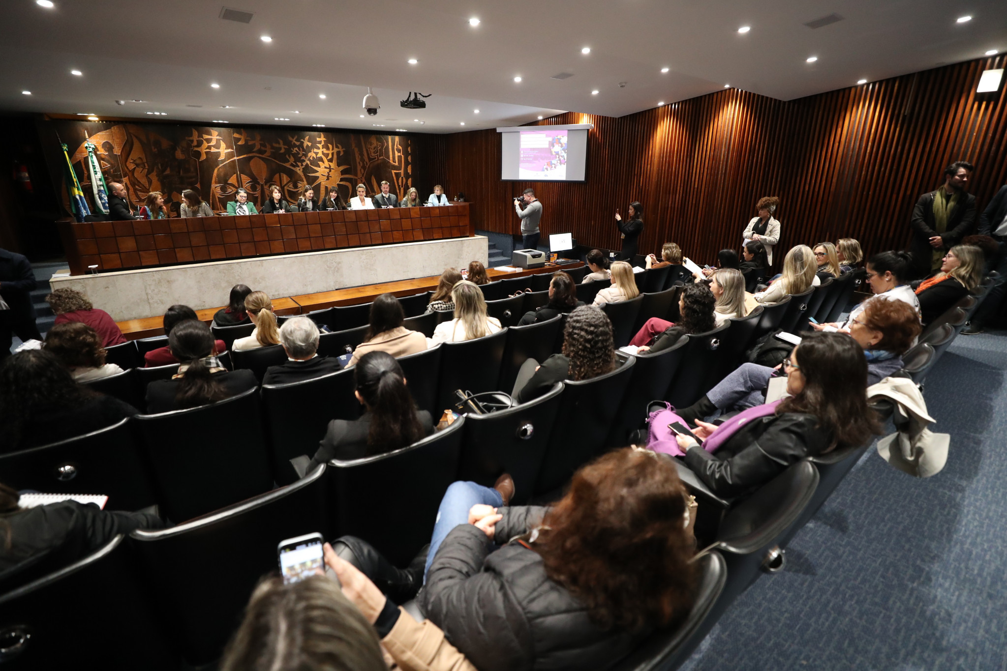 Audiência Pública reforça ações de combate à violência contra a mulher no Paraná