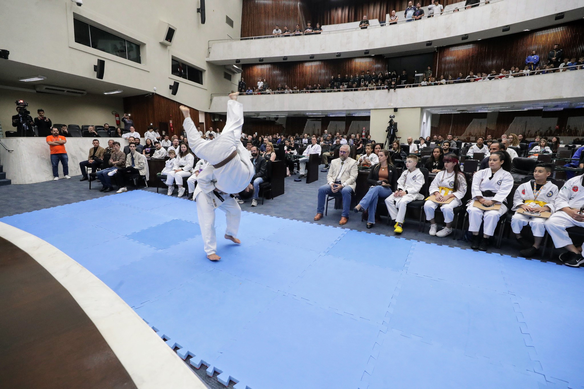 Assembleia Legislativa celebra conquistas e trajetórias vitoriosas de atletas das artes marciais