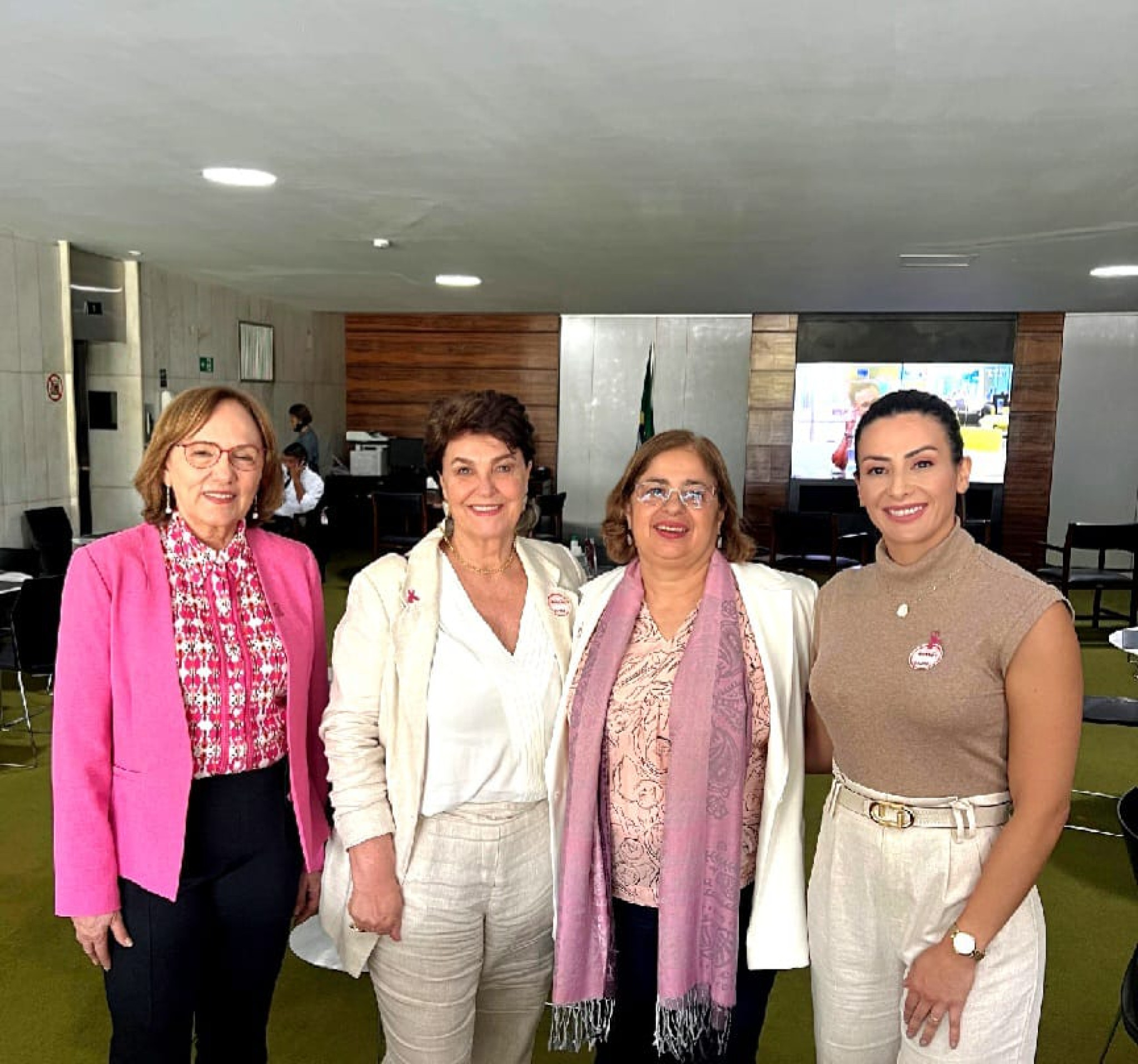 Em Brasília, deputadas se manifestam contra os prejuízos que a minirreforma eleitoral pode causar às candidaturas femininas