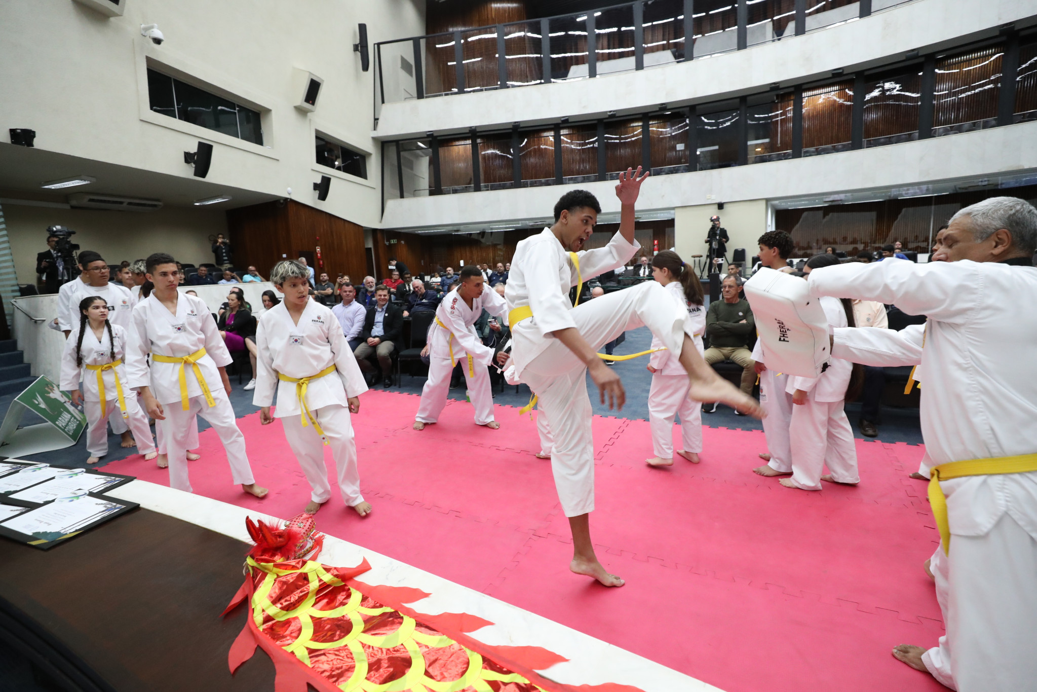 Assembleia Legislativa reconhece impacto dos Jogos Abertos de Combate