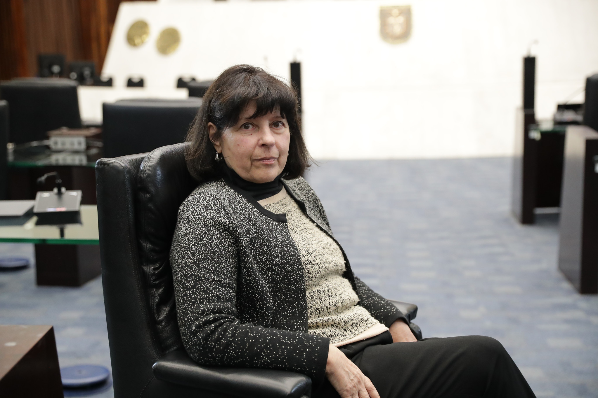 Autora de obras gigantes em exposição permanente no MON, Elizabeth Titton está no programa Arte & Cultura na Assembleia