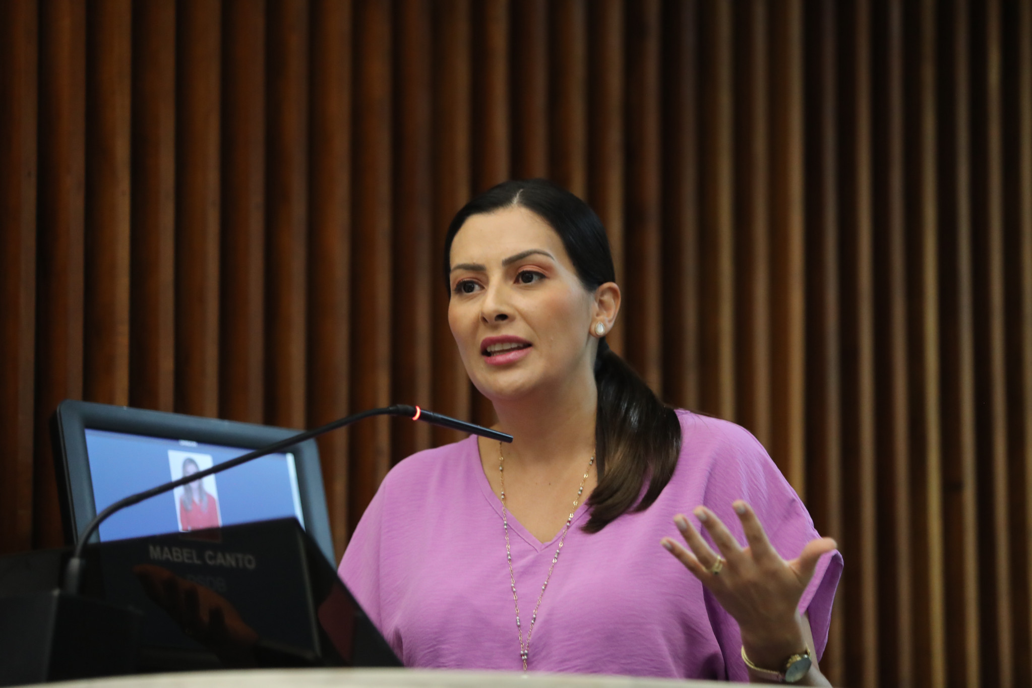 Bancada Feminina pede regulamentação das leis de combate à violência contra as mulheres