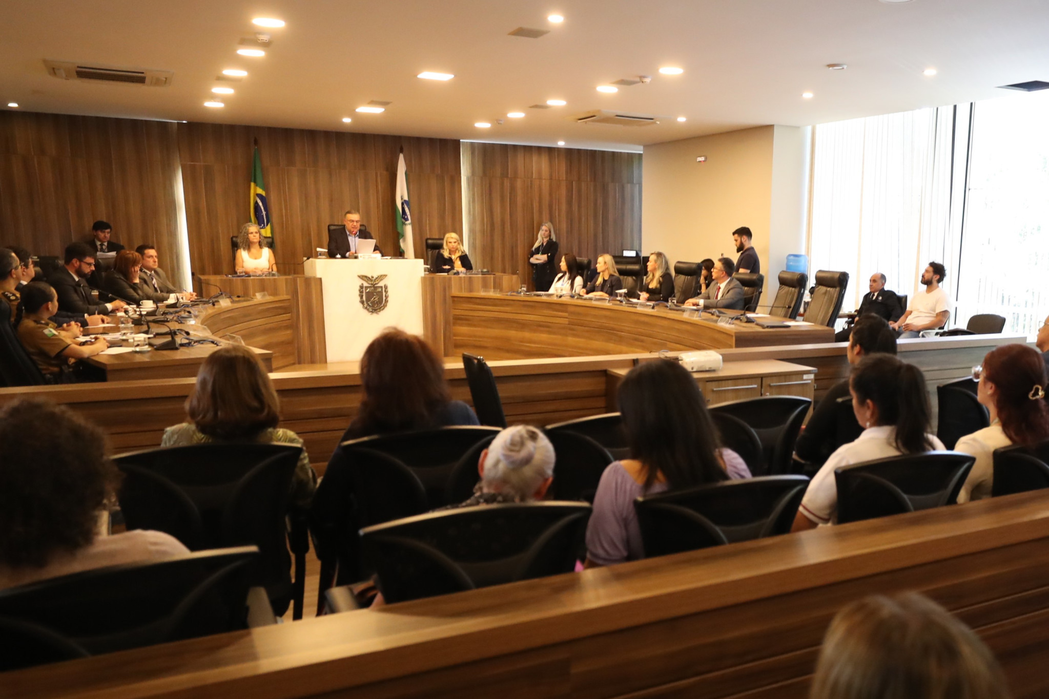 Reunião aprofunda aspectos da esquizofrenia para encorpar projeto de lei