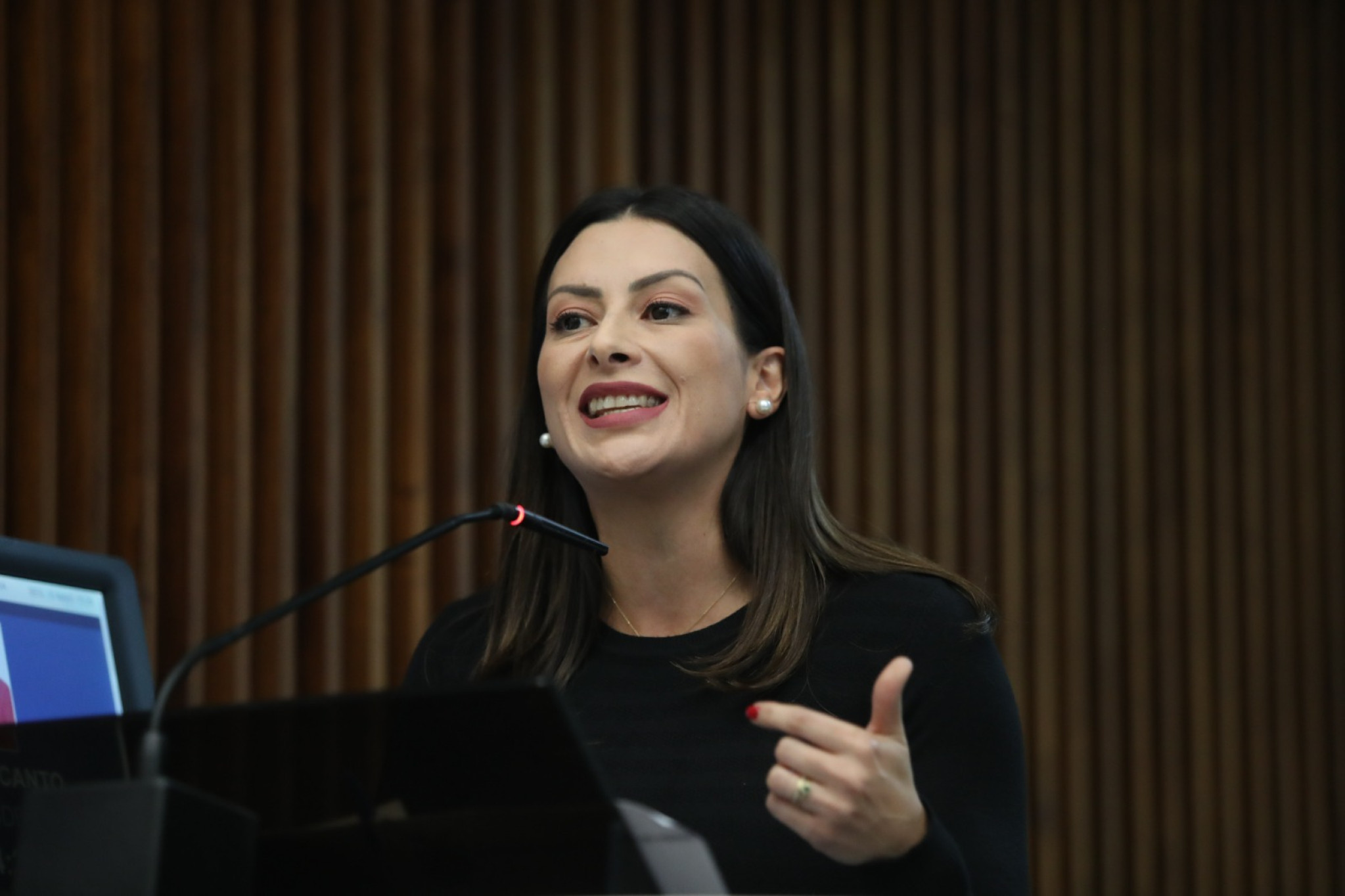 Deputada Mabel Canto (PSDB) e Bancada Feminina apresentam emendas para a LDO 2024