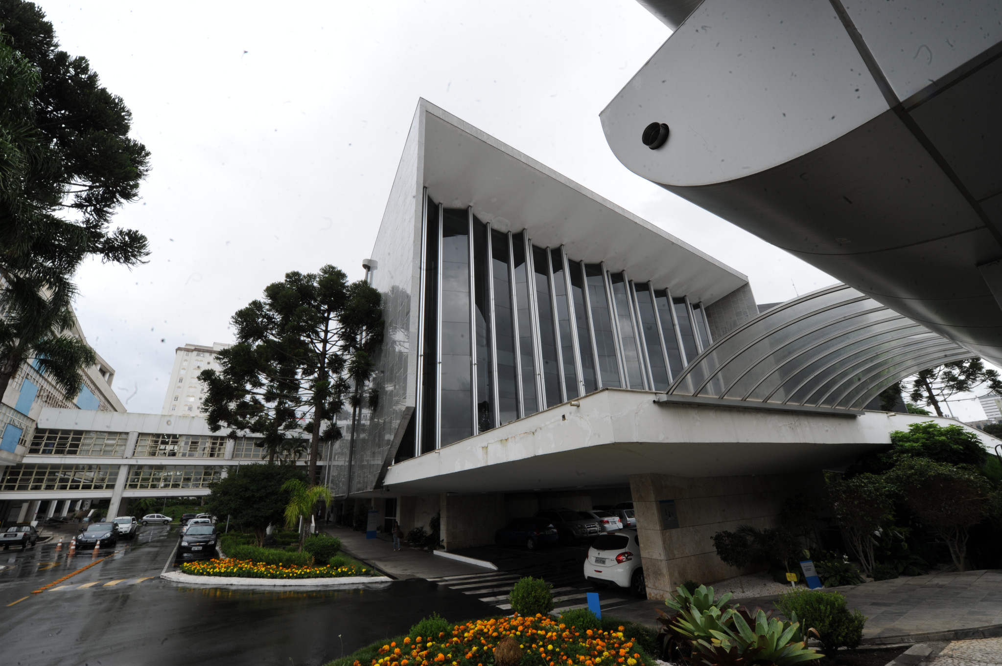 Assembleia inicia votação do projeto que institui a Lei de Incentivo à Cultura do Bambu