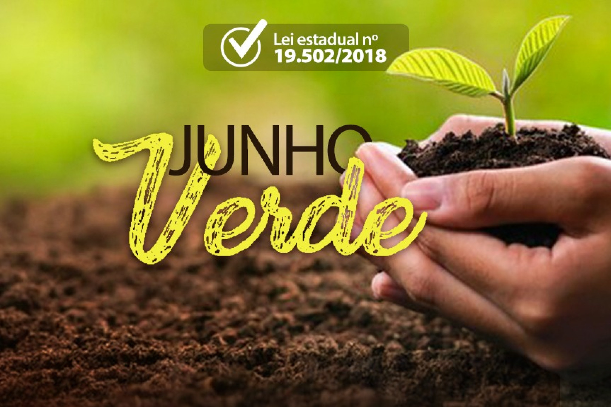 Junho Verde reforça a necessidade de preservação do meio ambiente