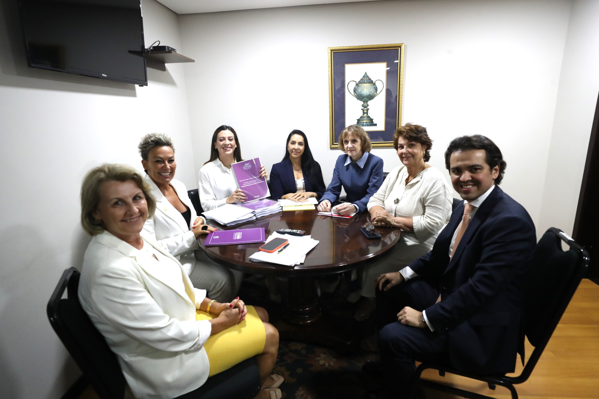 Comissão Especial aprova Código da Mulher Paranaense