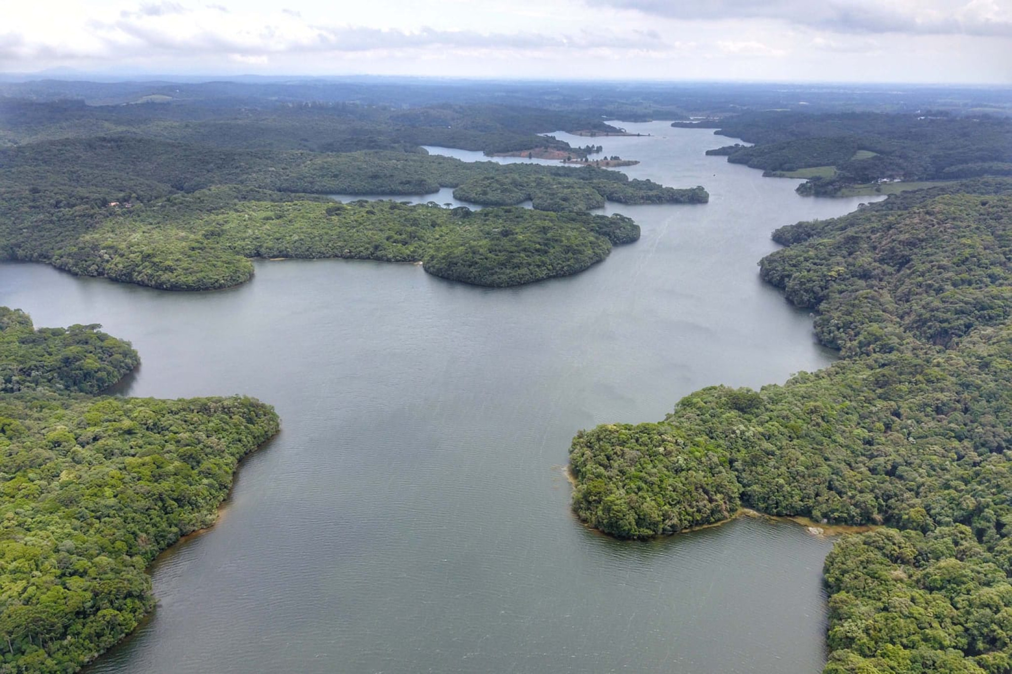 Deputado Goura (PDT) promove reunião para debater e fazer propostas à minuta da Política Estadual de Biodiversidade