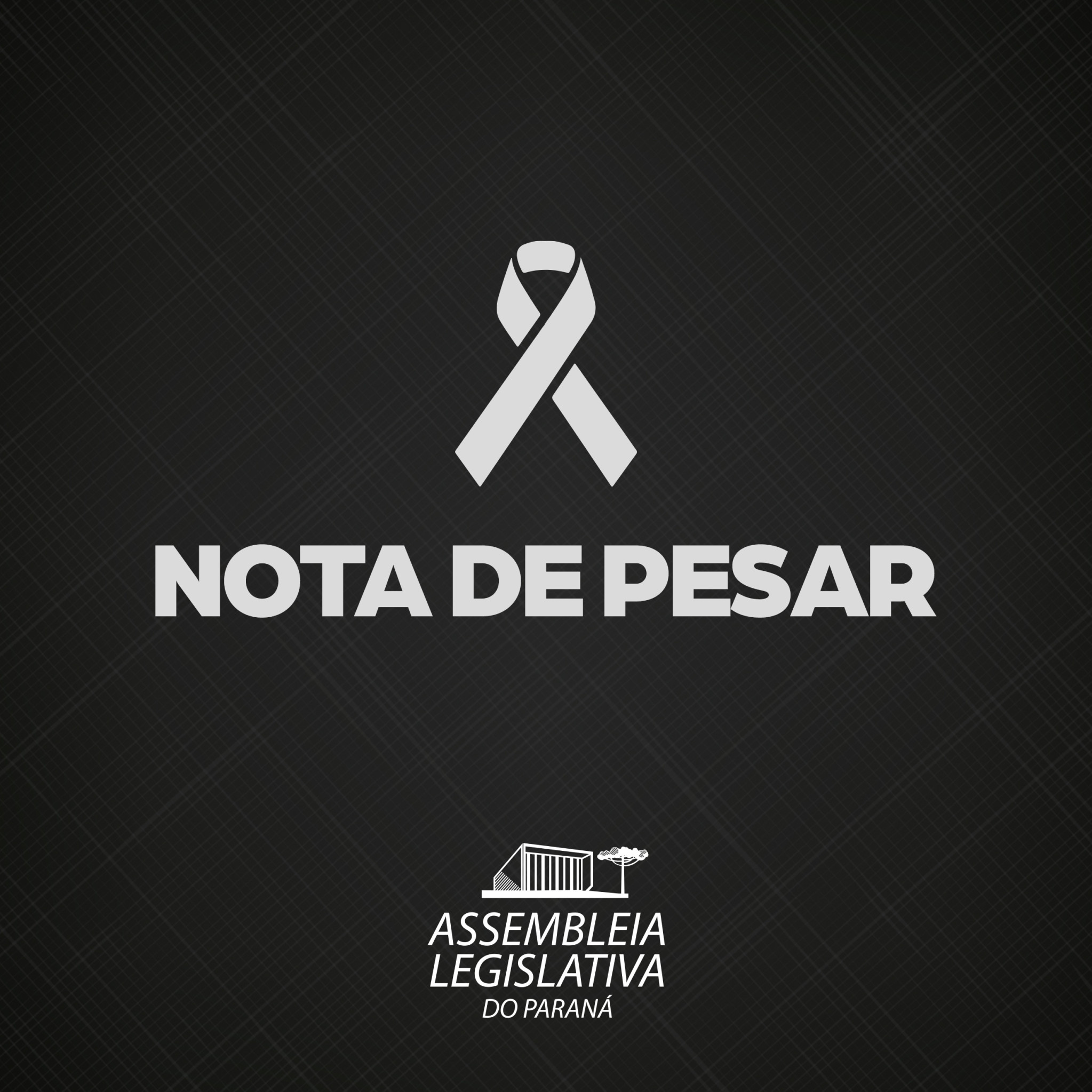 Assembleia Legislativa lamenta mortes em acidente aéreo na Serra do Mar