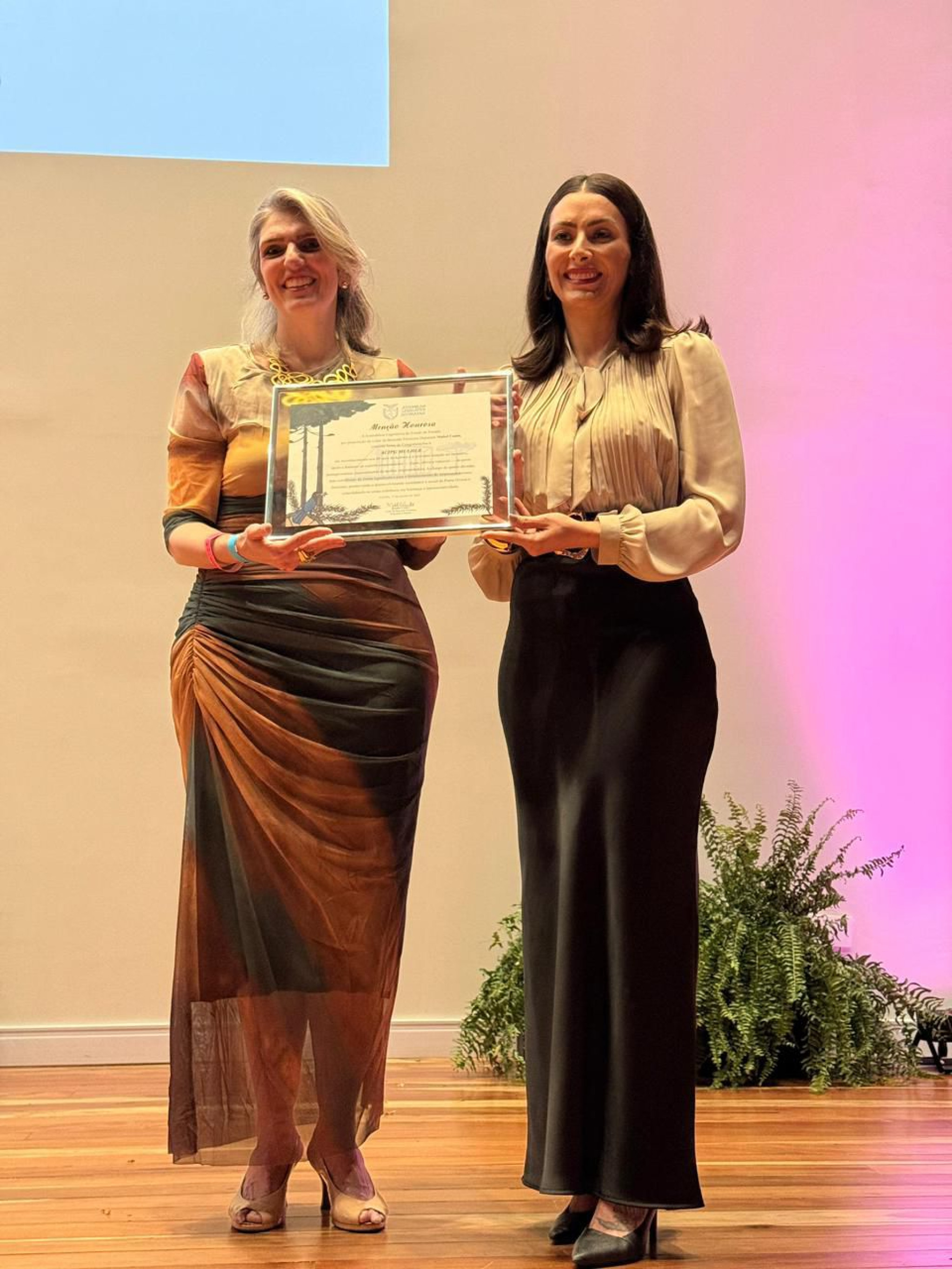 Deputada Mabel Canto (PP) entrega menção honrosa da Assembleia Legislativa à ACIPG Mulher pelos 40 anos de atuação