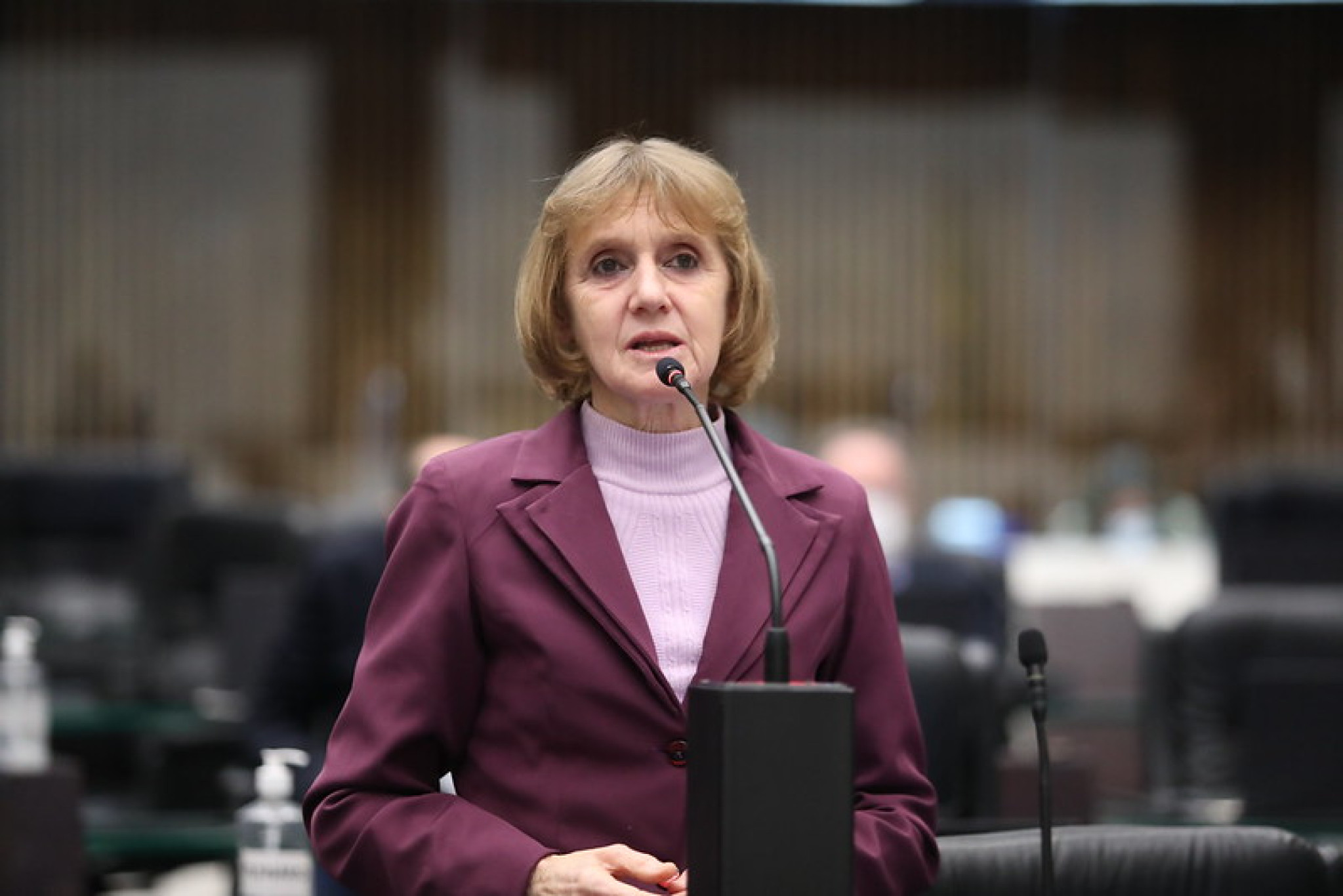 Deputada Luciana Rafagnin propõe política estadual de acolhimento e assistência a órfãos do feminicídio