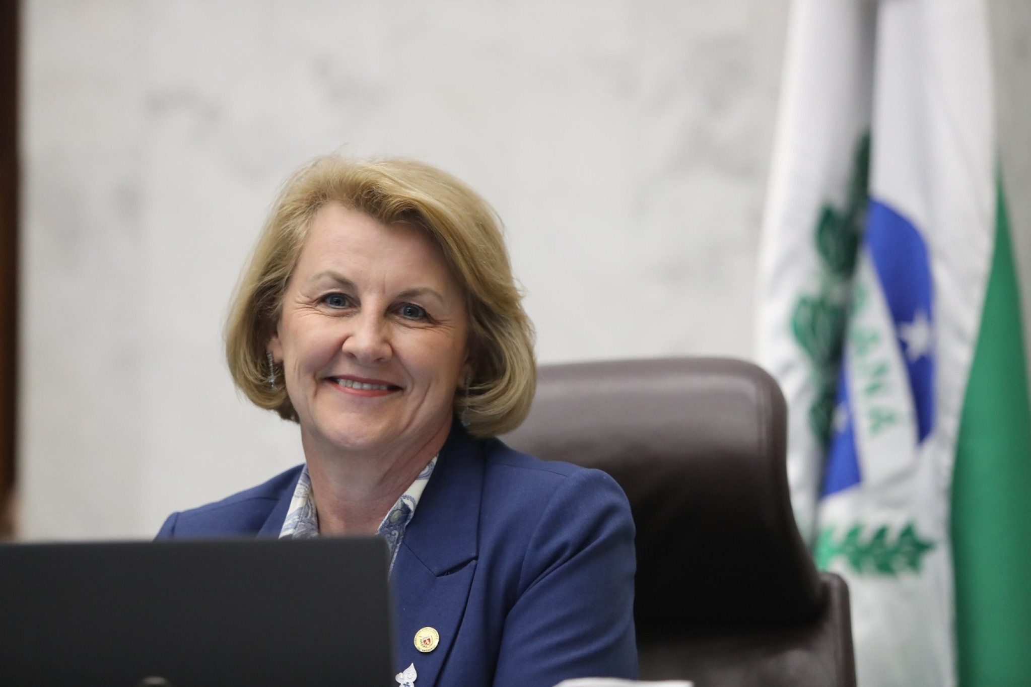 Partos prematuros e saúde materno-infantil são tema de audiência pública na Assembleia