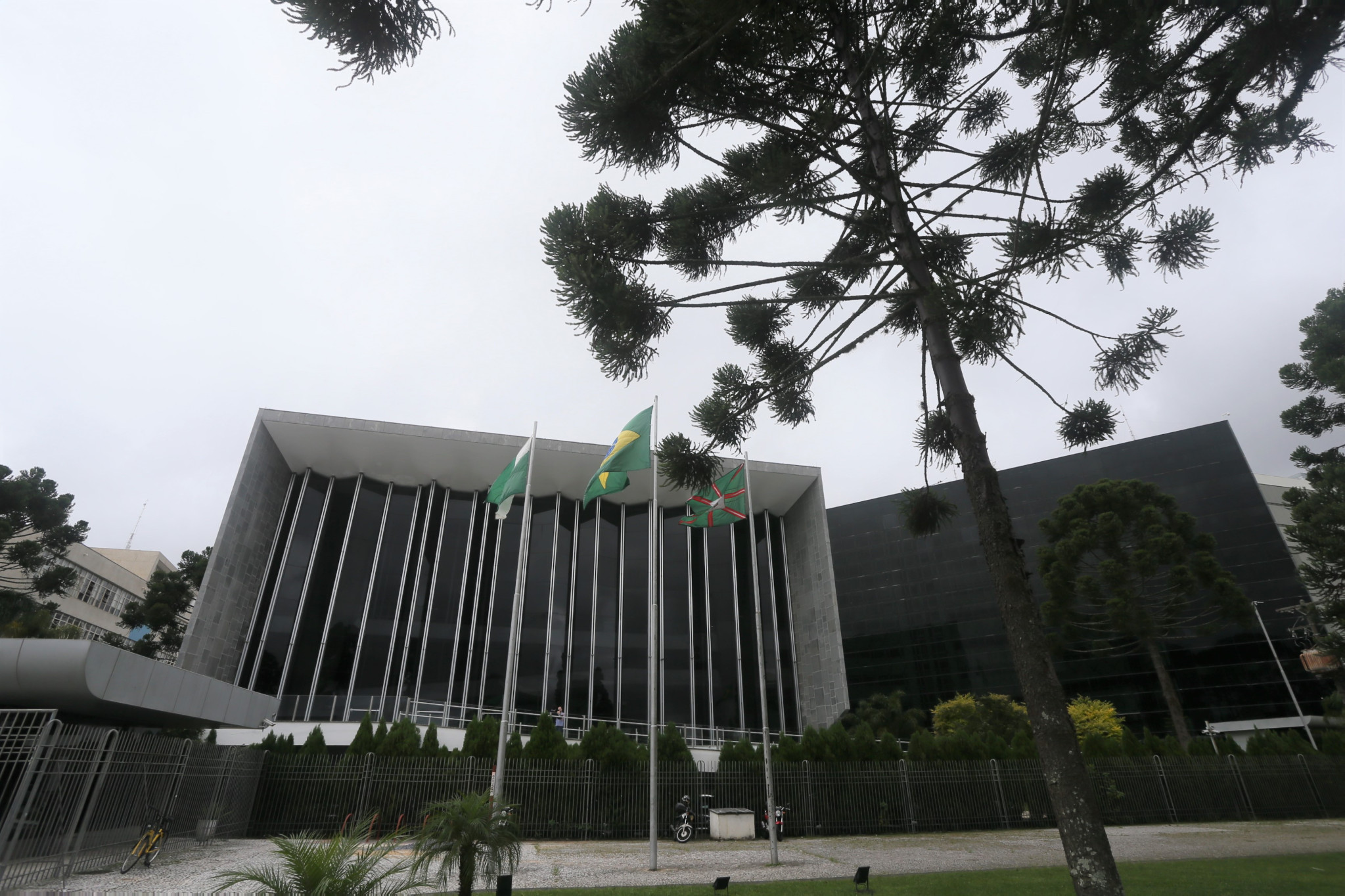 Enfermagem, empresariado e gestão pública serão homenageados na Assembleia